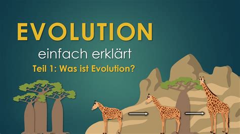 1 Was ist Evolution EVOLUTION einfach erklärt YouTube