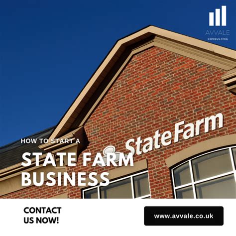 State Farm marketing plan template