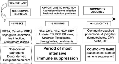 Table 2 From Approach To The Immunocompromised Host With Infection In The Intensive Care Unit