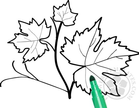 Grape Vine Leaf Flowers Templates