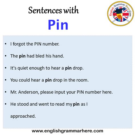 Sentences With Pin Pin In A Sentence In English Sentences For Pin