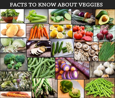 51 Facts To Know About Veggies Veggies Info Veggies Info