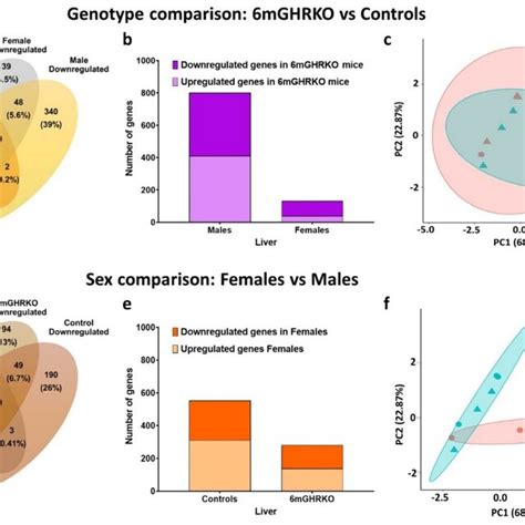 Pathway Analysis Of The Differentially Expressed Genes From The