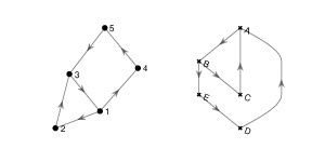 Isomorphic Graphs Neural Circuits