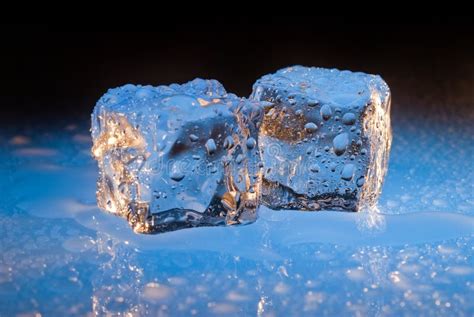 Two Ice Cubes On Blue Stock Photo Image Of Freezer Transparent 9334574