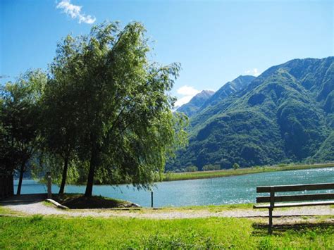 Passeggiata Nella Riserva Di Pian Di Spagna Lago Di Mezzola