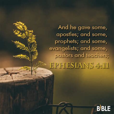 Ephesians Bible Verse Of The Day Biblemeal