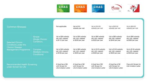 A Guide To The Community Health Assist Scheme Chas Homage Atelier