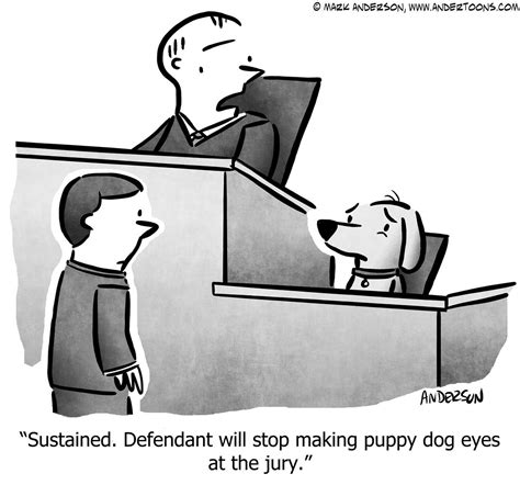 Defendant In Court Cartoon