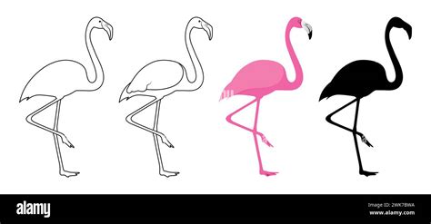 Pink Flamingo Silhouette Birds Illustration Vector Set Stock Vector Image And Art Alamy