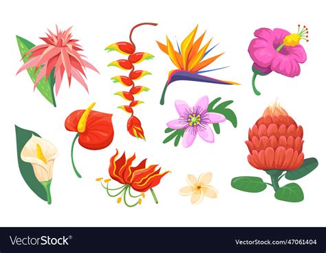 Bright hawaiian exotic flowers flat pictures set Vector Image