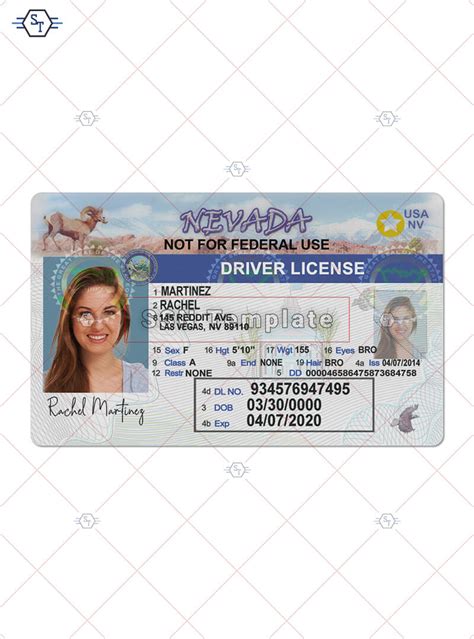 Nevada Driver License Psd Template Buy Psd Template