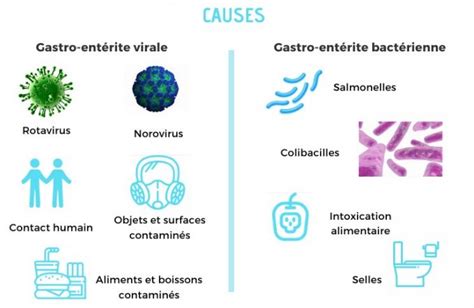 Temps D Incubation Gastro Entrite Tackyre