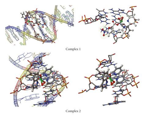 Docked Conformations Of The Complexes Complex 1 Top And Complex 2