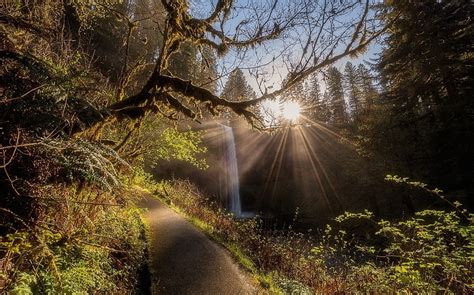 Wallpaper X Px Hutan Pemandangan Alam Oregon Path Semak