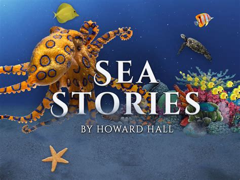 Three Sea Stories Typhoon Falk And The Shadow Lin 3
