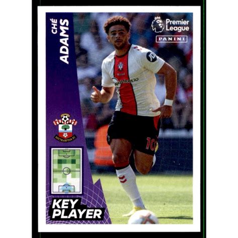 Sale Sticker Of Ché Adams Key Player Southampton Premier League