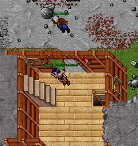 Uma Análise Sobre A História De Rookgaard Tibia Stories