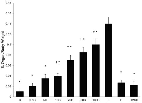 The Effect Of 17β Oestradiol E Progesterone P Peanut Oil Dmso Download Scientific