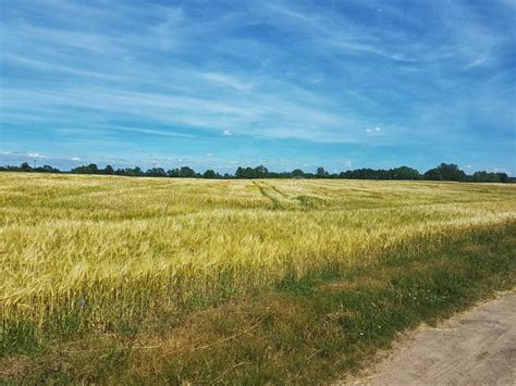 Grassland, Ecosystem, Prairie, Sky Picture. Image: 121934007