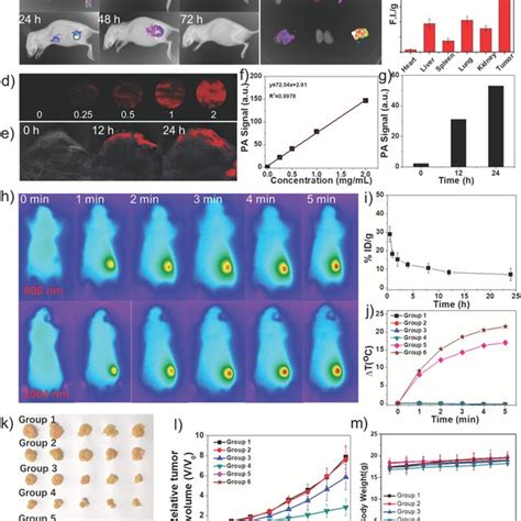 A In Vivo Fluorescence Images Of The Mice At Different Times