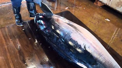 Amazing How To Cut The Giant Bluefin Tuna Skillfully With Sharp Knife