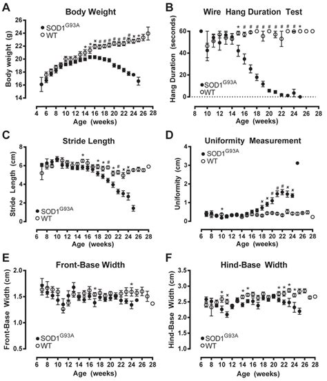 Functional Measures Of Disease Progression In Wild Type WT And