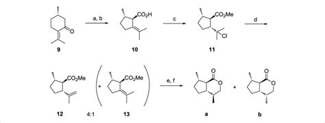 Scheme 1: Route from (S)-pulegone to the mixture of... | Download ...