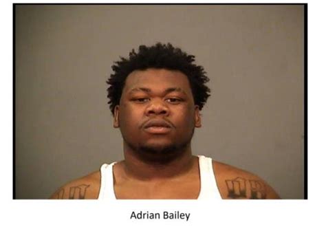 9 Guns Seized During Joliet Police House Raid 2 Arrested Joliet Il