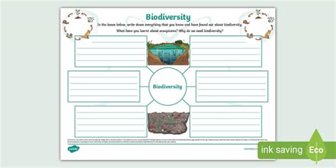 Biodiversity Mind Map Template | Science | Twinkl | KS1