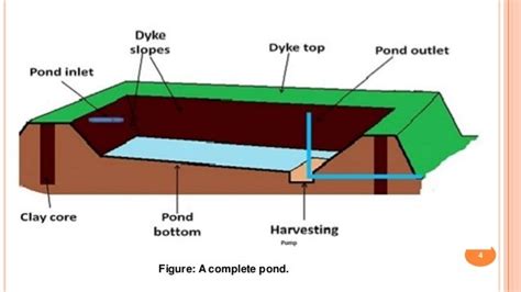 Construction Of Fish Pond