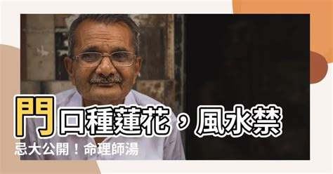 門口養蓮花風水門口種蓮花風水禁忌大公開命理師湯鎮瑋曝5大秘密 MirrorT 風水網