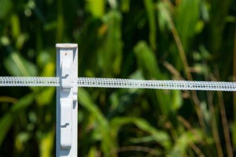 20 X White 5ft Poly Posts 156cm Tall Electric Fence 4ft 8 Plastic Fencing Stake Ebay