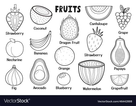 Black and white fruits collection healthy food Vector Image