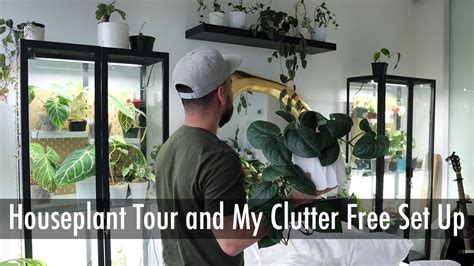 Plant Tour And Set Up Houseplant Styling Youtube