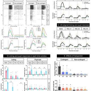 Effects of haloperidol injection on the licking and pupil responses... | Download Scientific Diagram