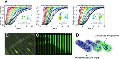 Primary And Secondary Nucleation And Their Verification With