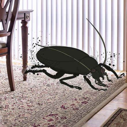 charles bonnet syndrome storyline  feature  tv soap opera macular