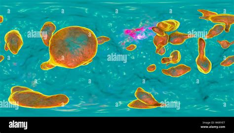 Mycoplasma Genitalium Bacteria Degree Panorama View Illustration