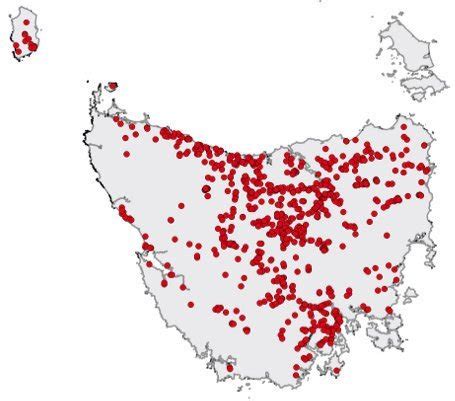 Mapping the Platypus Century | Tasmanian Geographic