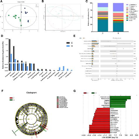 Figure 1 From Integrative Analysis Of Vaginal Microorganisms And Serum