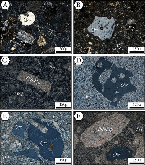 Photomicrographs Of Thin Sections Derived From Different Levels Of