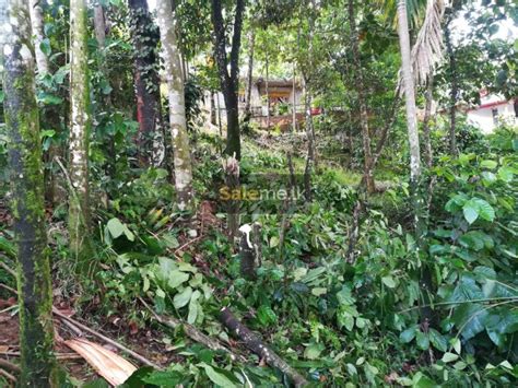 Land - Land for sale in Nawalapitiya town in Nawalapitiya | SaleMe.lk