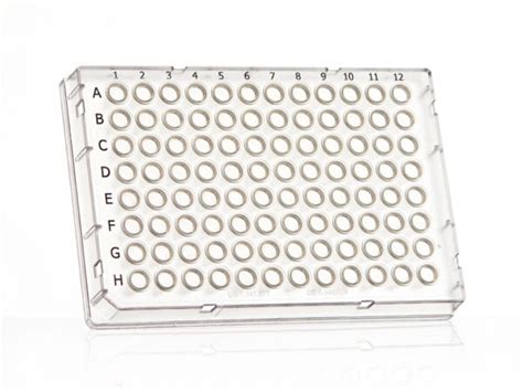 FrameStar 96 Well Skirted Optical Bottom PCR Plate Clear PP Wells