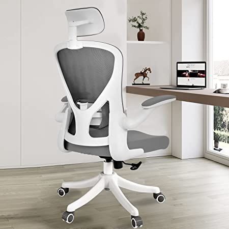 Amazon Monhey Ergonomic Office Chair Office Chair With Lumbar