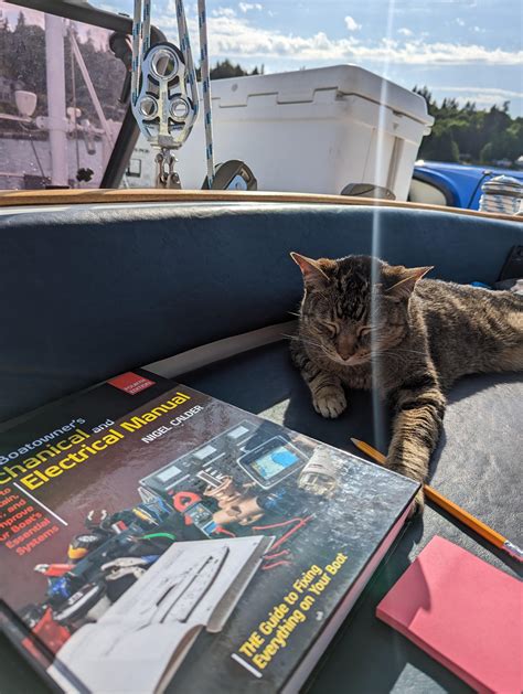 Cats: super interested in bonding systems : r/sailing