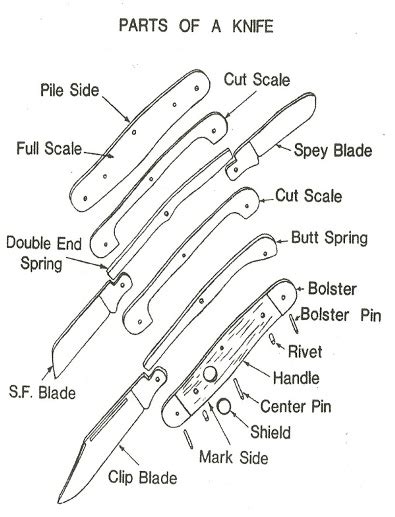 Parts of a Pocket Knife | Knife Information