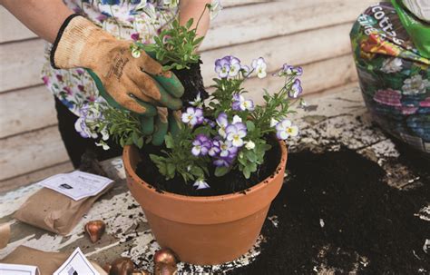 Top Ten Tips on How to Plant your Spring Bulbs in Pots - Tesselaar