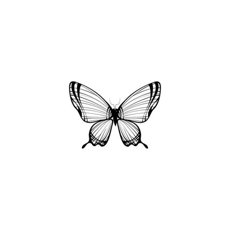 Premium Vector Hand Drawn Butterfly Illustration