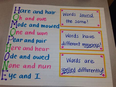 Homophones Classroom Charts Ela Anchor Charts Reading Anchor Charts